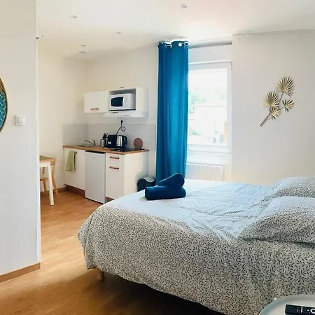 Charles De Gaulle Iv Apartment